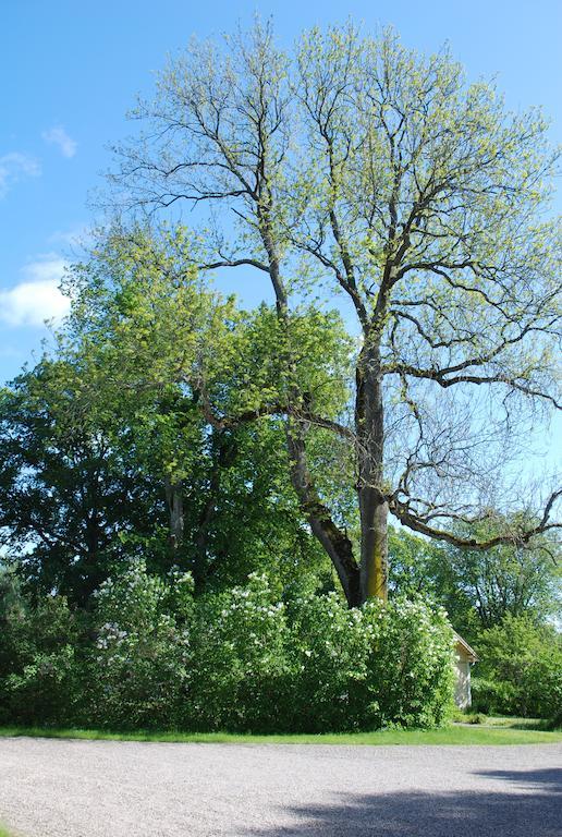 Kristbergs Rusthall Borensberg Bagian luar foto