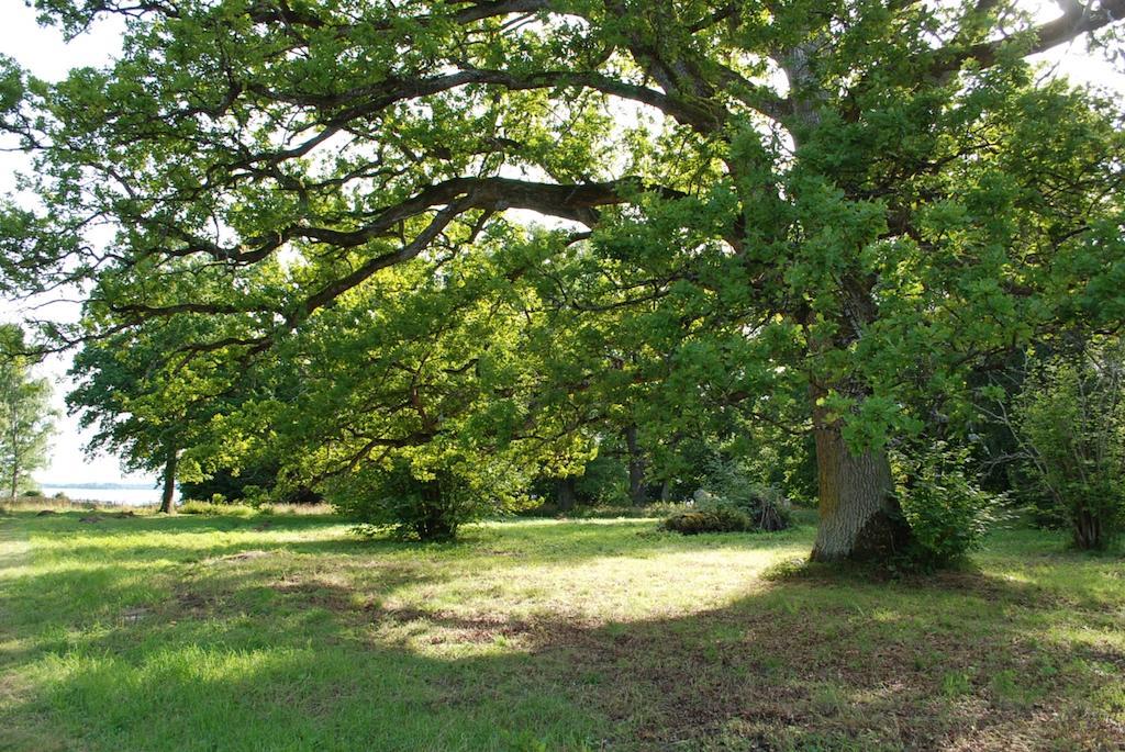 Kristbergs Rusthall Borensberg Bagian luar foto