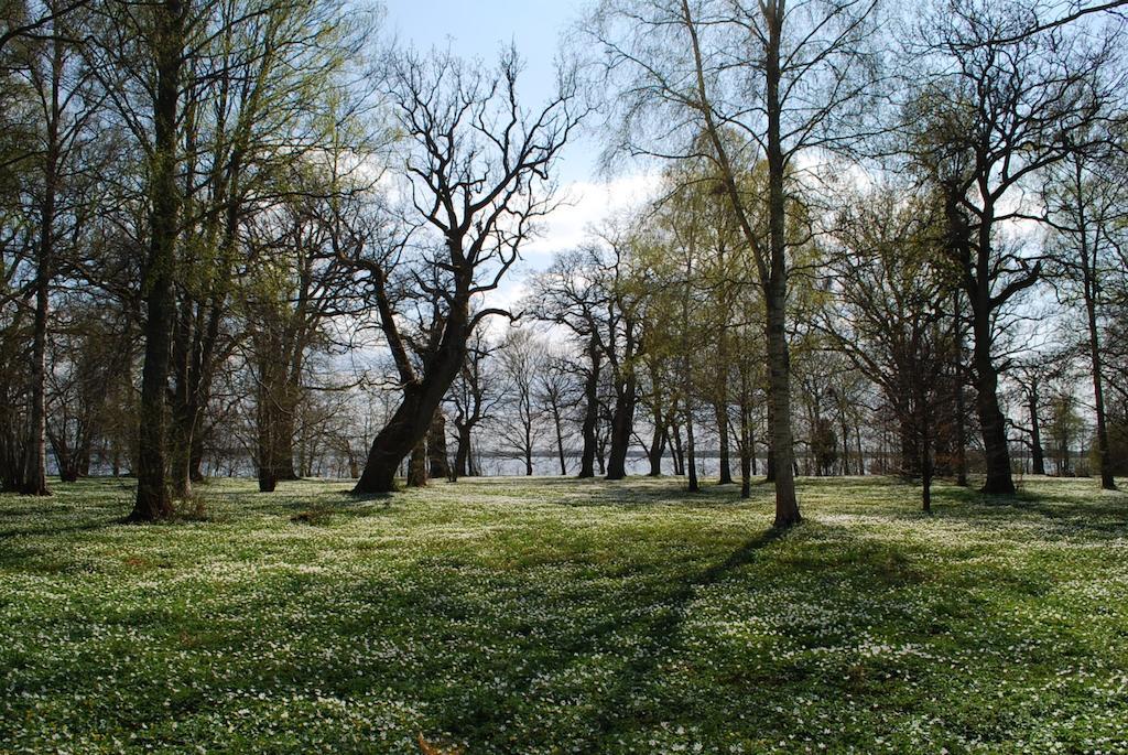 Kristbergs Rusthall Borensberg Bagian luar foto